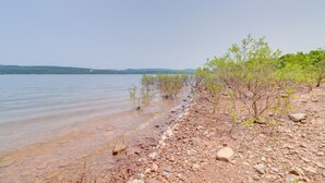 A rocky shoreline with sparse vegetation and a clear view of the water. - Arkansas Vacation Rental on Greers Ferry Lake! (Greers Ferry)