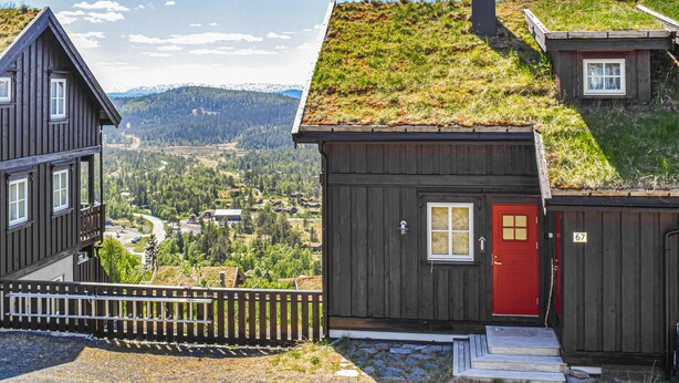 A wooden house with a red door and a green roof, surrounded by a scenic mountainous landscape.