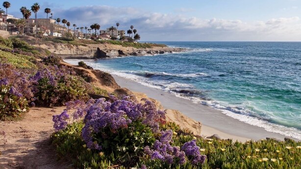 A coastal landscape with a sandy beach, purple flowers, and a rocky shoreline. - Minutes from Carlsbad Downtown and Beach (Carlsbad)