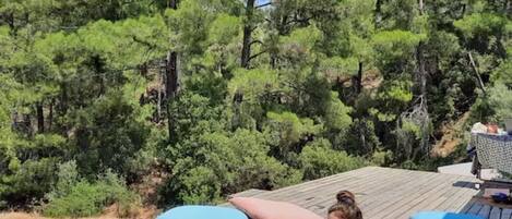 單棟房屋 | 露台/庭院