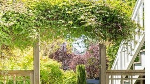 A wooden gate with a lattice design, leading to a garden area with various plants and a small stone path. - Spacious retreat with outdoor dining, patios and views (Seattle)