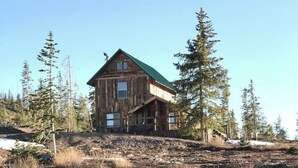 Une cabane en bois rustique, surmontée d’un toit vert, entourée de grands pins.