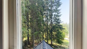 A view through a window of a building with a metal roof, overlooking a forested area with tall trees. - Cozy home in örebro with WiFi (Örebro)
