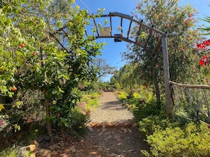 Un sendero de jardín con un arco de madera, rodeado de abundante follaje y plantas en flor.