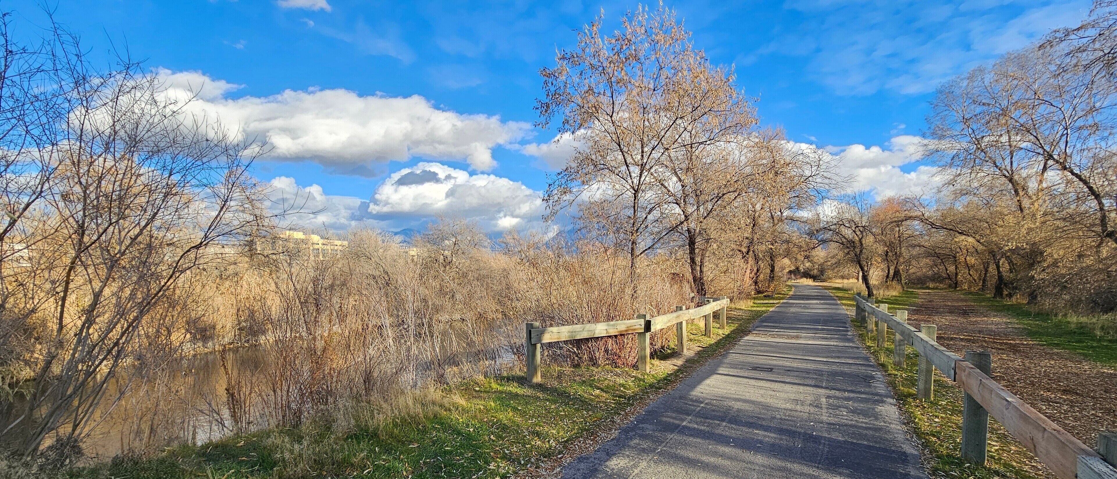 A paved pathway in a park with trees and a body of water.