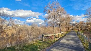 A paved pathway in a park with trees and a body of water.