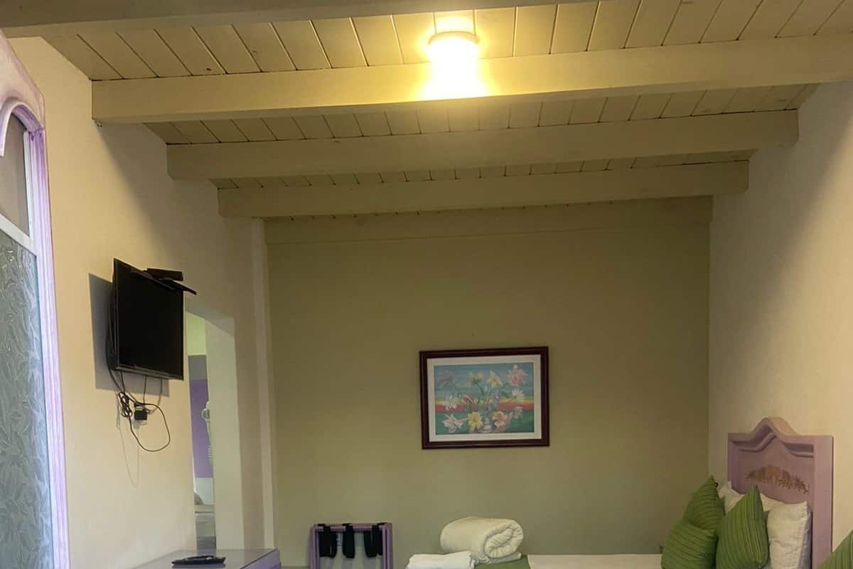 A hotel room with two beds, a television, a painting, and a purple cabinet.