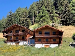 Esterni
