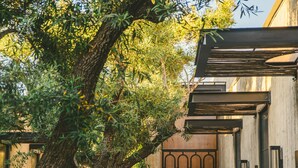 Un pati amb un camí pavimentat, bancs, plantes en testos i un edifici amb una porta singular.