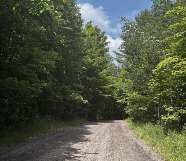 A gravel road flanked by dense green foliage. - Lakefront Muskoka 3 Bedroom Cottage with Breathtaking View (Utterson)