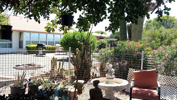 Un jardin agrémenté de diverses plantes, d’une statue et de mobilier d’extérieur.