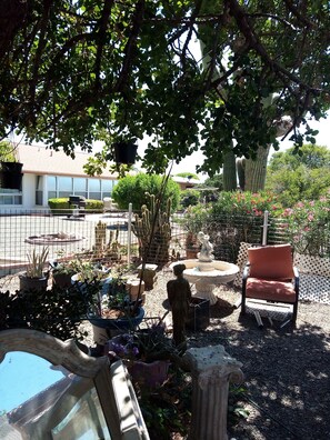Property grounds - SUN CITY Fenced Bird Sanctuary patio Az rm 4 bd 1 ba,  carport garage   trees  (Sun City)