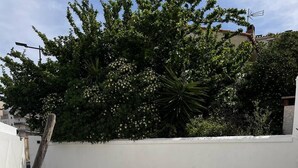 A small outdoor pool area with a white wall, a wooden chair, and a small table. - Charming villa 2 bedrooms swimming pool Wi-Fi air conditioning parking (CANET PLAGE)