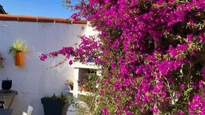 A bougainvillea plant with vibrant pink flowers in a courtyard. - Charming villa 2 bedrooms swimming pool Wi-Fi air conditioning parking (CANET PLAGE)