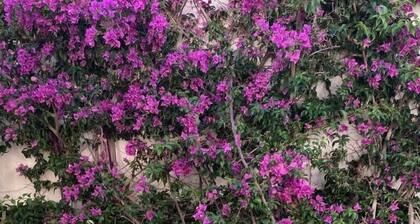 Charming villa 2 bedrooms swimming pool Wi-Fi air conditioning parking