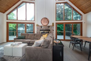 TV, fireplace, books