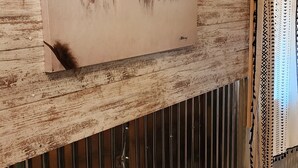 A wall-mounted painting of two bison, a wooden textured wall, and a metal railing with a patterned curtain. - Teeny Home in the Black Hills! (Custer)