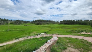A rural landscape with a dirt path, green fields, and a line of trees in the background. - Not available (Custer)