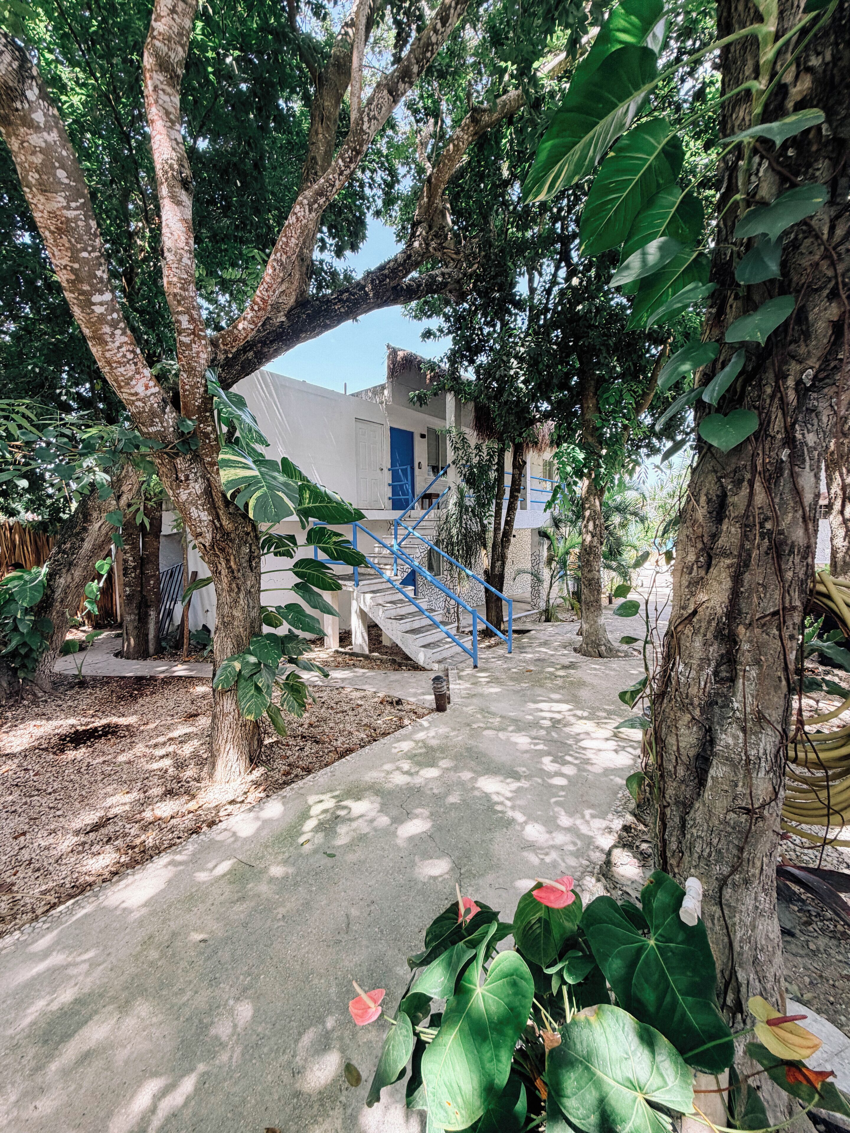 Un chemin menant à un bâtiment doté d’une porte bleue, entouré d’arbres et de plantes.