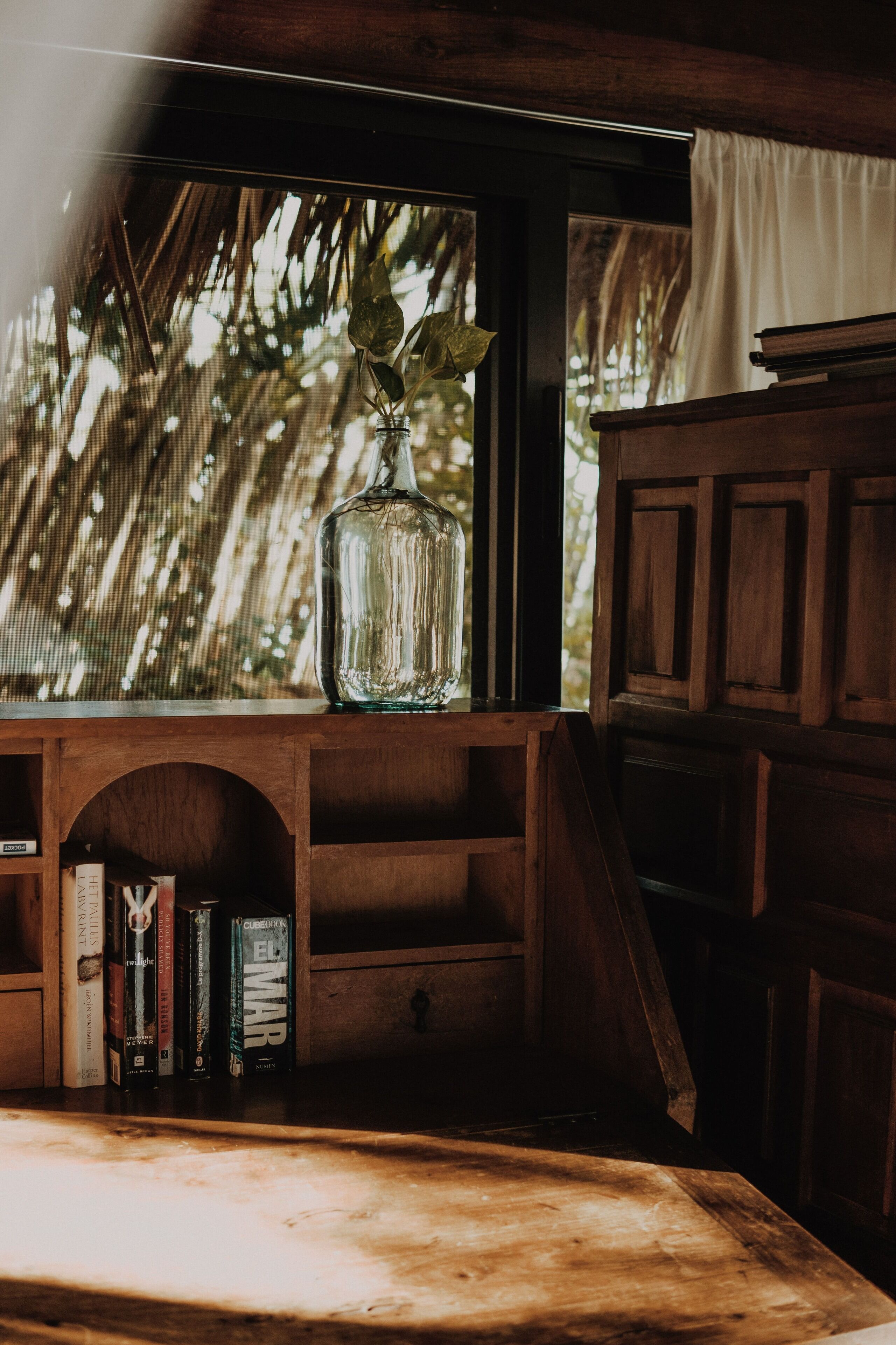 Un estante de madera con libros y un florero de vidrio transparente con una planta.