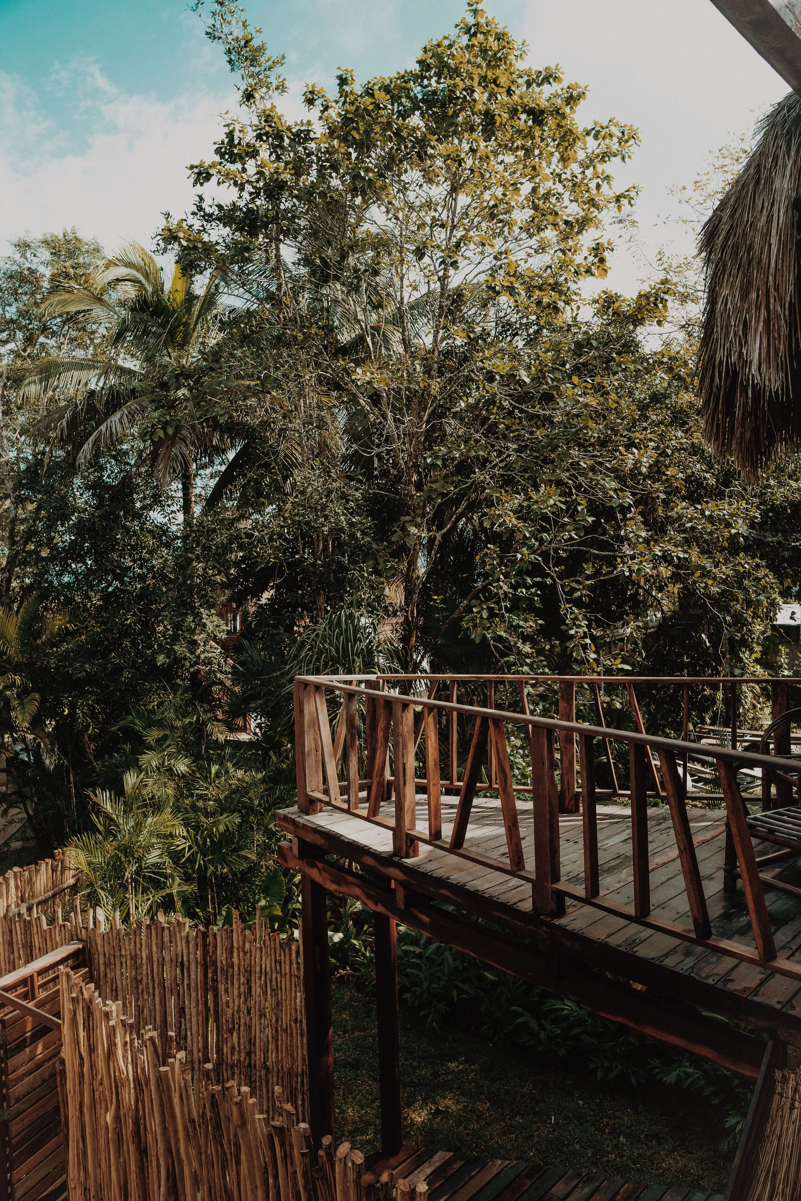 Bungalow, vue jardin | Extérieur