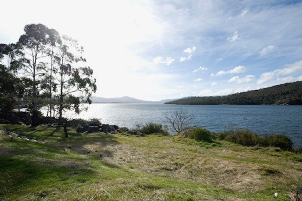 Paisaje natural con un lago, árboles y un fondo montañoso.