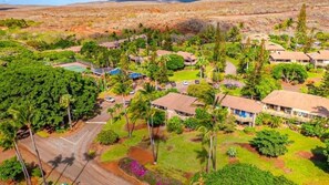Property grounds - Molokai condo Pool/Spa, 2 bedrooms/2 bathrooms. Walking distance to the beach.  (Maunaloa)