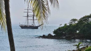 Un velero en aguas tranquilas, con una costa rocosa y palmeras al frente.