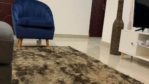 Un salon avec un fauteuil bleu, un canapé gris, un tapis à longues mèches, un meuble blanc avec un téléviseur et un vase décoratif.