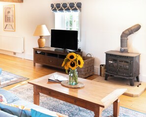 电视、壁炉、立体声音响