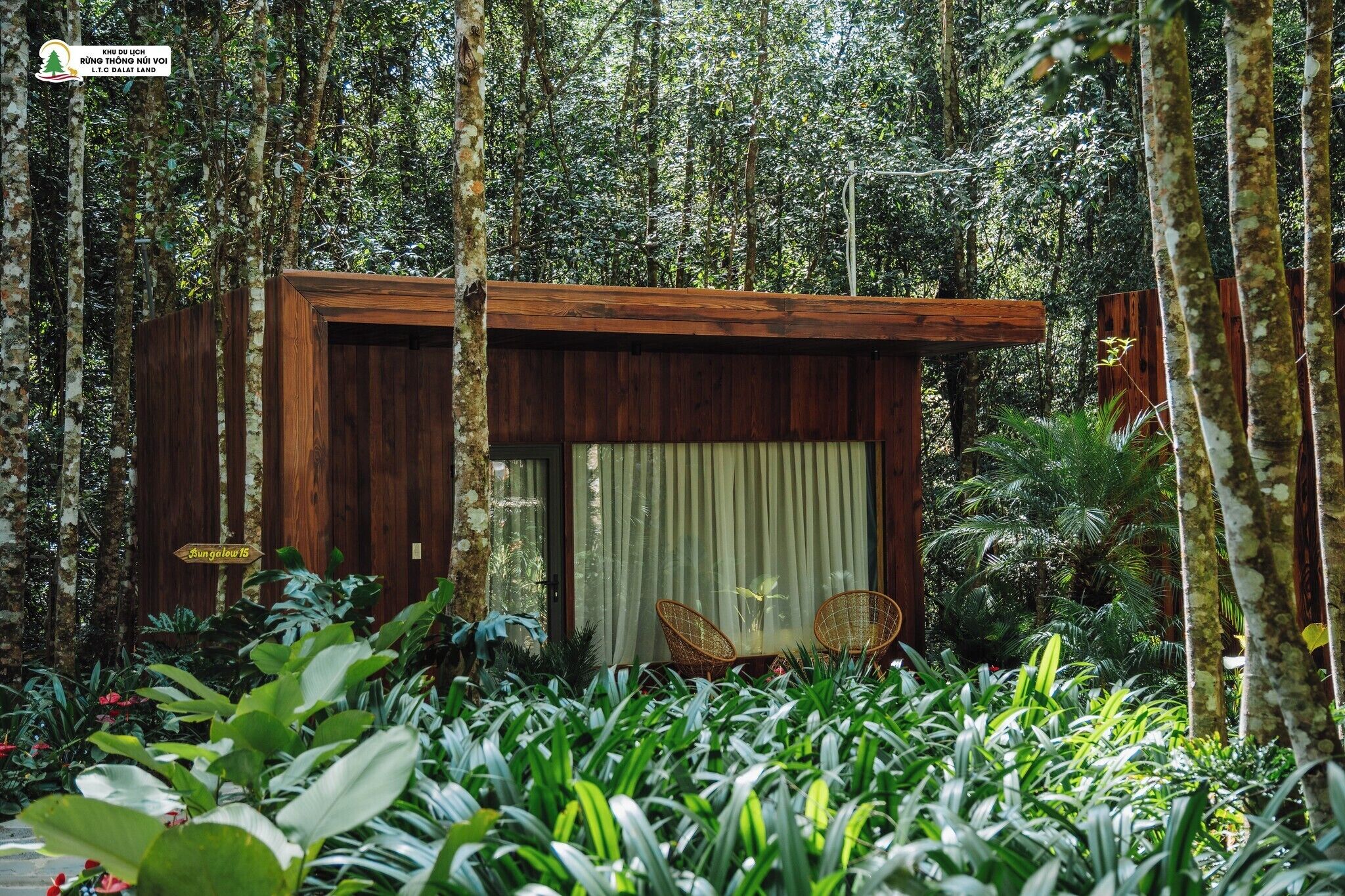 Bungalow Container With Garden View | Premium bedding, free minibar items, desk, laptop workspace