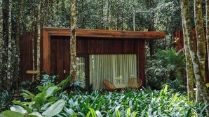 Eine Holzhütte mit Schiebetür, umgeben von üppigem Grün und vielfältigen Pflanzen.