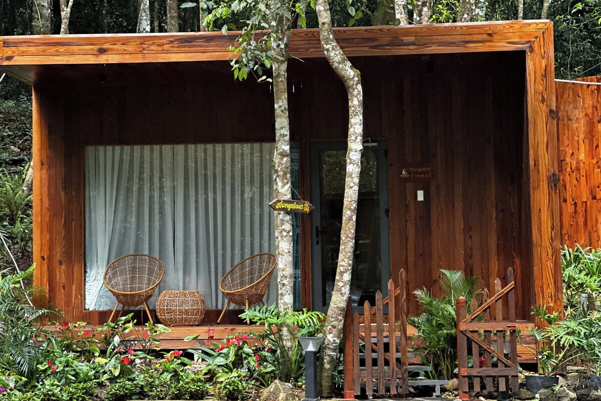 A wooden cabin with a porch, two wicker chairs, and a small garden.