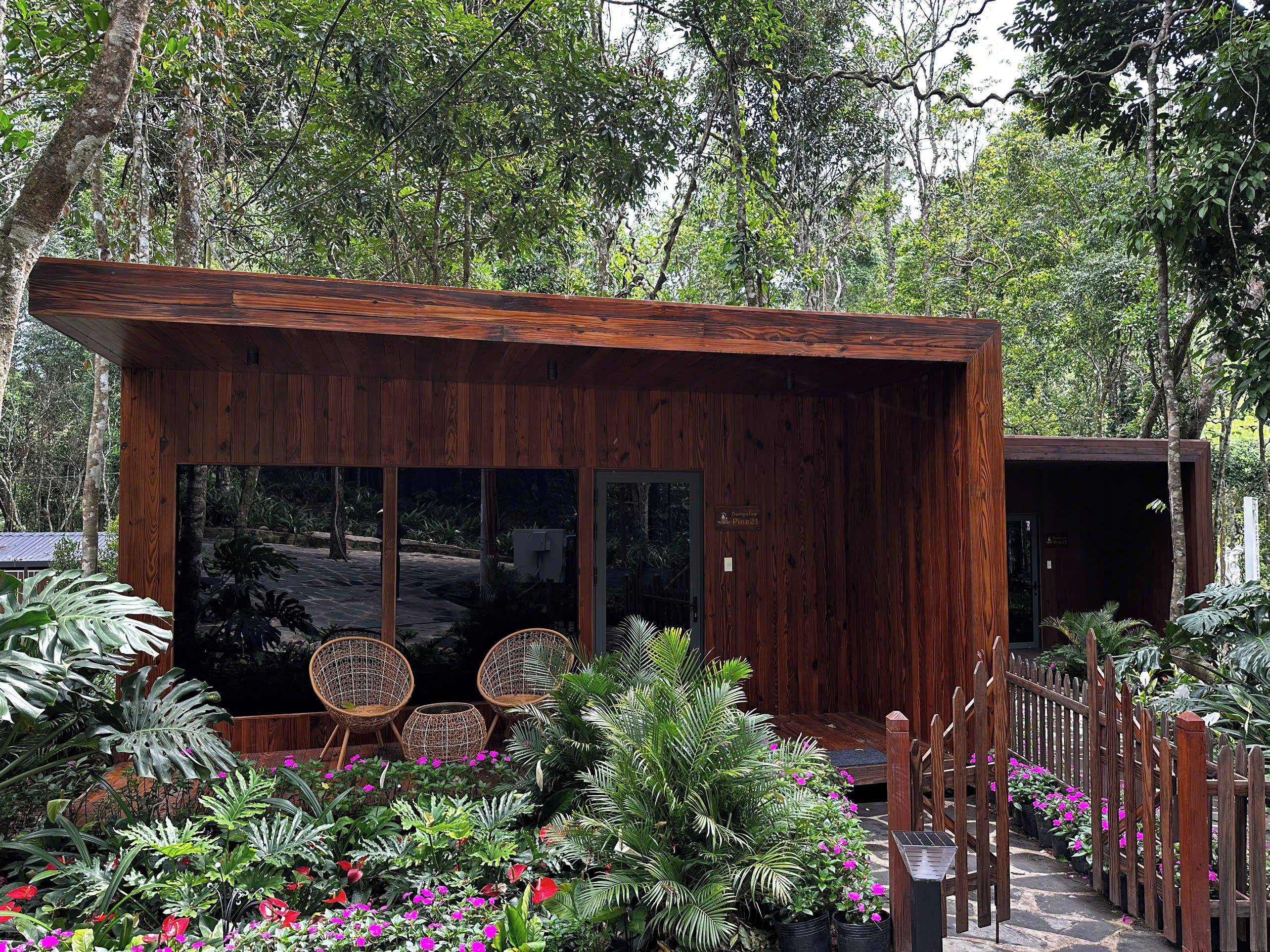 Una cabana de fusta amb una porta de vidre, envoltada de vegetació exuberant i plantes en testos.