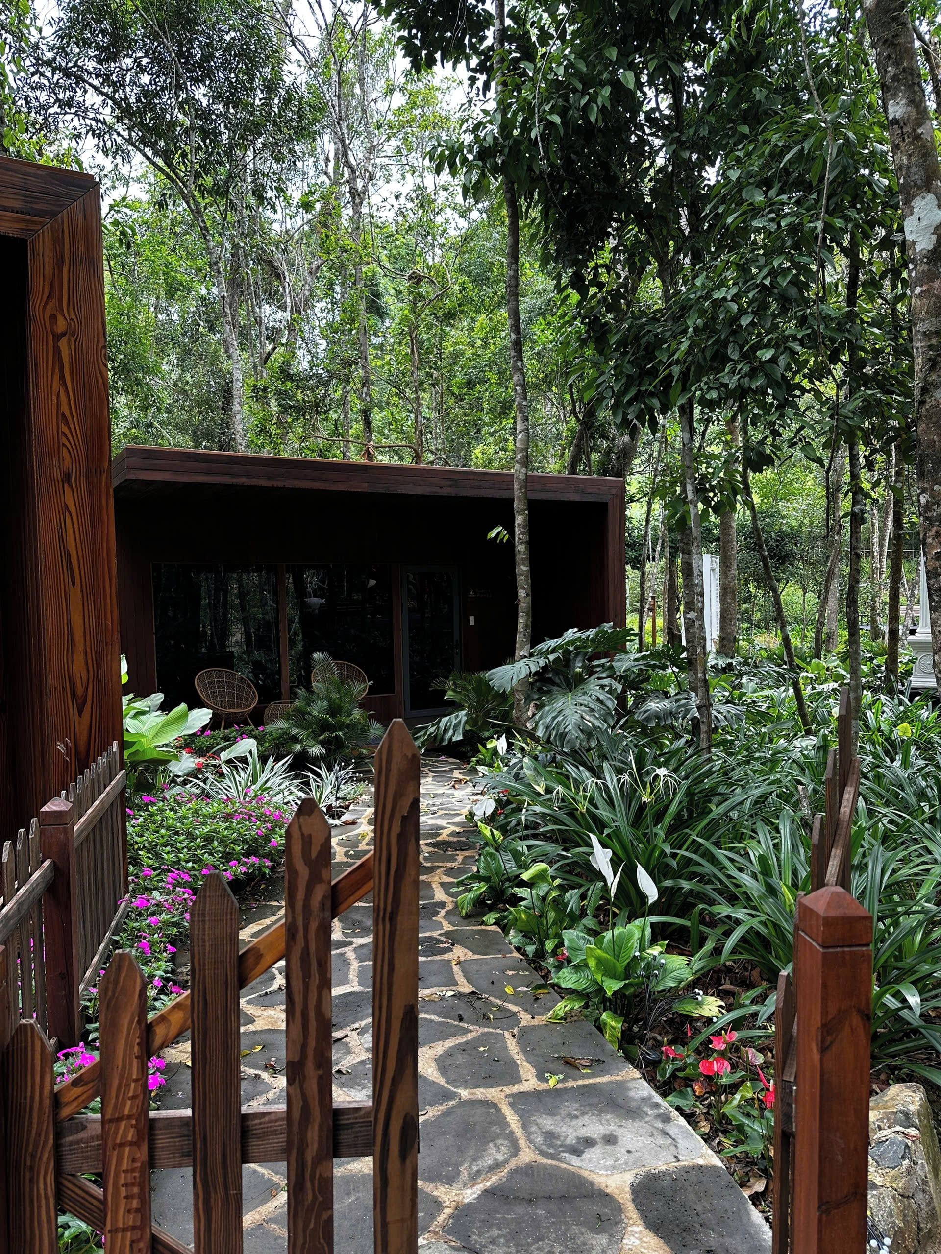A wooden structure with a stone pathway leading to it, surrounded by lush greenery and various plants.