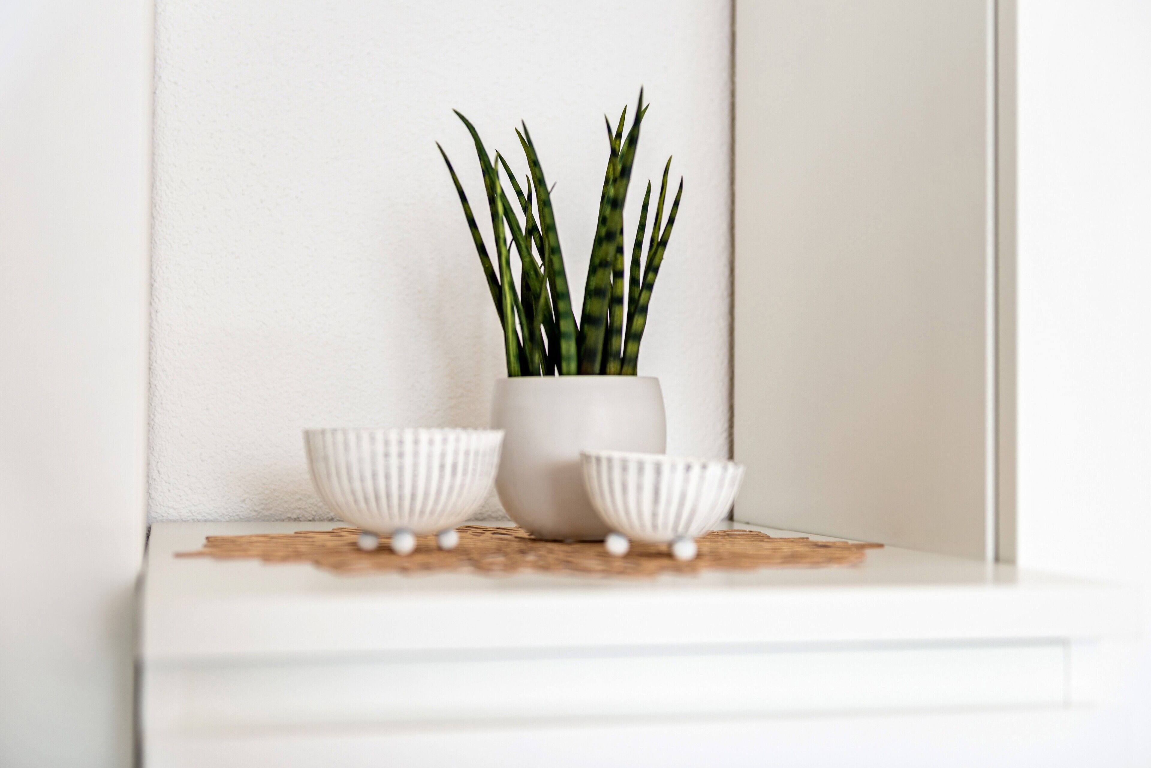 A white shelf with a potted plant and two white bowls.