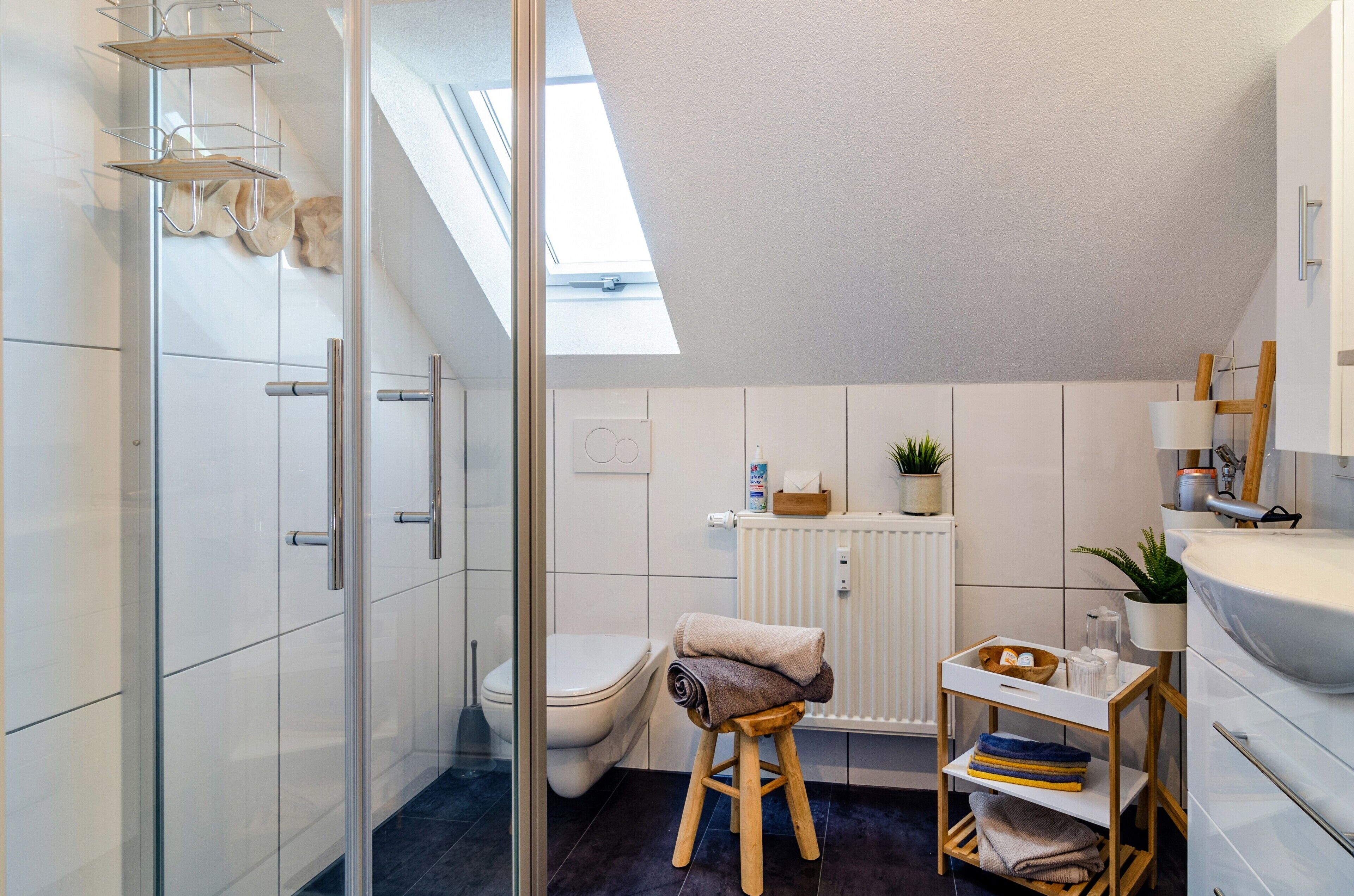 Shower, free toiletries, hair dryer, towels