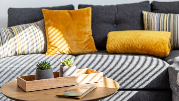 A modern living room with a sofa, cushions, a small wooden side table, and two potted plants. - Apartment 'Fewo-Keinath' with Wi-Fi (Winterlingen)
