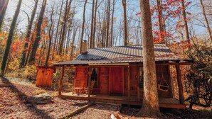 A rustic cabin with a metal roof, surrounded by trees with autumn foliage. - Good Times cabin at Saluda Grade Cabins! (Saluda)
