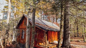 A rustic cabin with a wooden porch and a chimney, surrounded by trees and fallen leaves. - Ever After Escape at Saluda Grade Cabins! (Saluda)