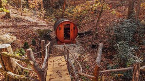 Une cabane rustique en bois, dotée d’une porte en bois, entourée d’une forêt aux feuilles d’automne.