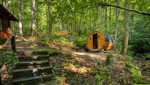 Una cabana de fusta al bosc, envoltada d'arbres i una escala de pedra que hi mena.