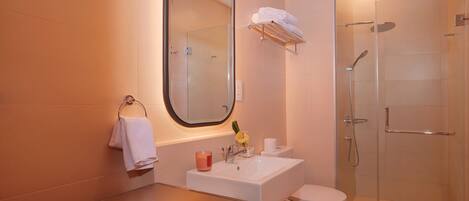A modern bathroom with a glass shower enclosure, a white sink, and a large mirror.