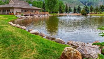 Terrain de l’hébergement