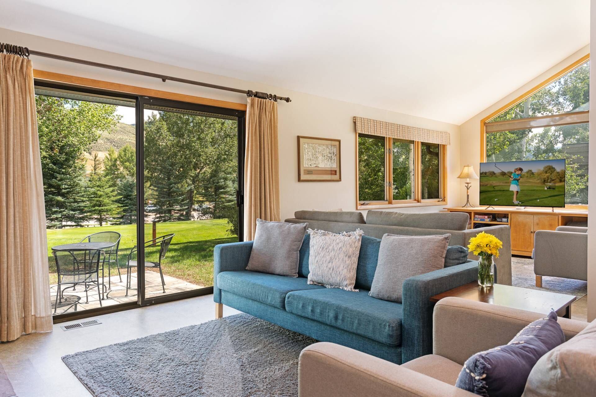 Téléviseur connecté, foyer, lecteur de DVD