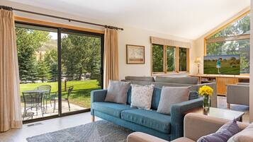 Téléviseur connecté, foyer, lecteur de DVD