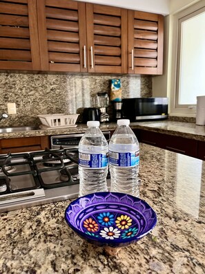 Private kitchen - Condominio Luxury Puerto Vallarta, una Cuadra de la Playa y Malecón! (Puerto Vallarta)