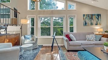 Télévision, cheminée, jeux vidéo, lecteur de DVD