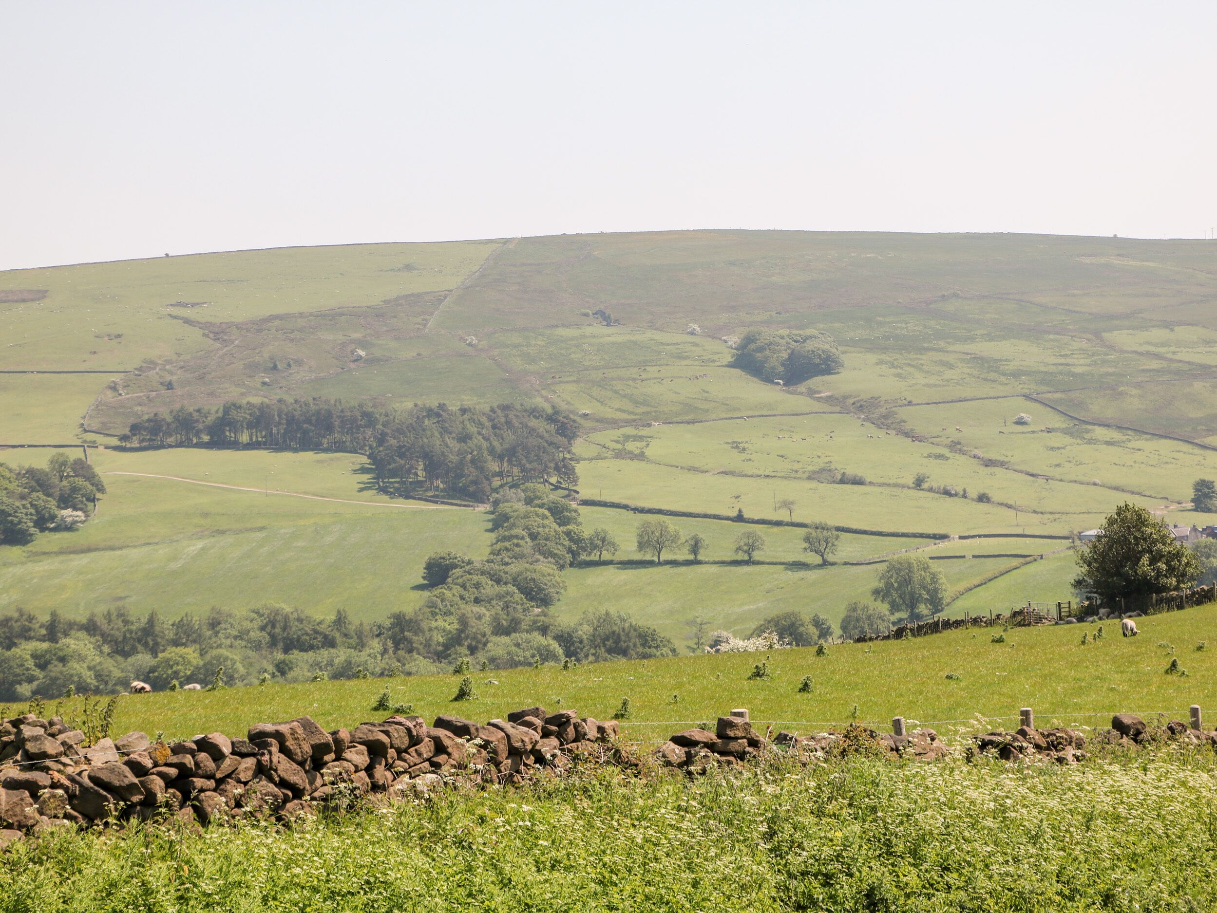 A rural landscape with rolling hills, a stone wall, and scattered trees.