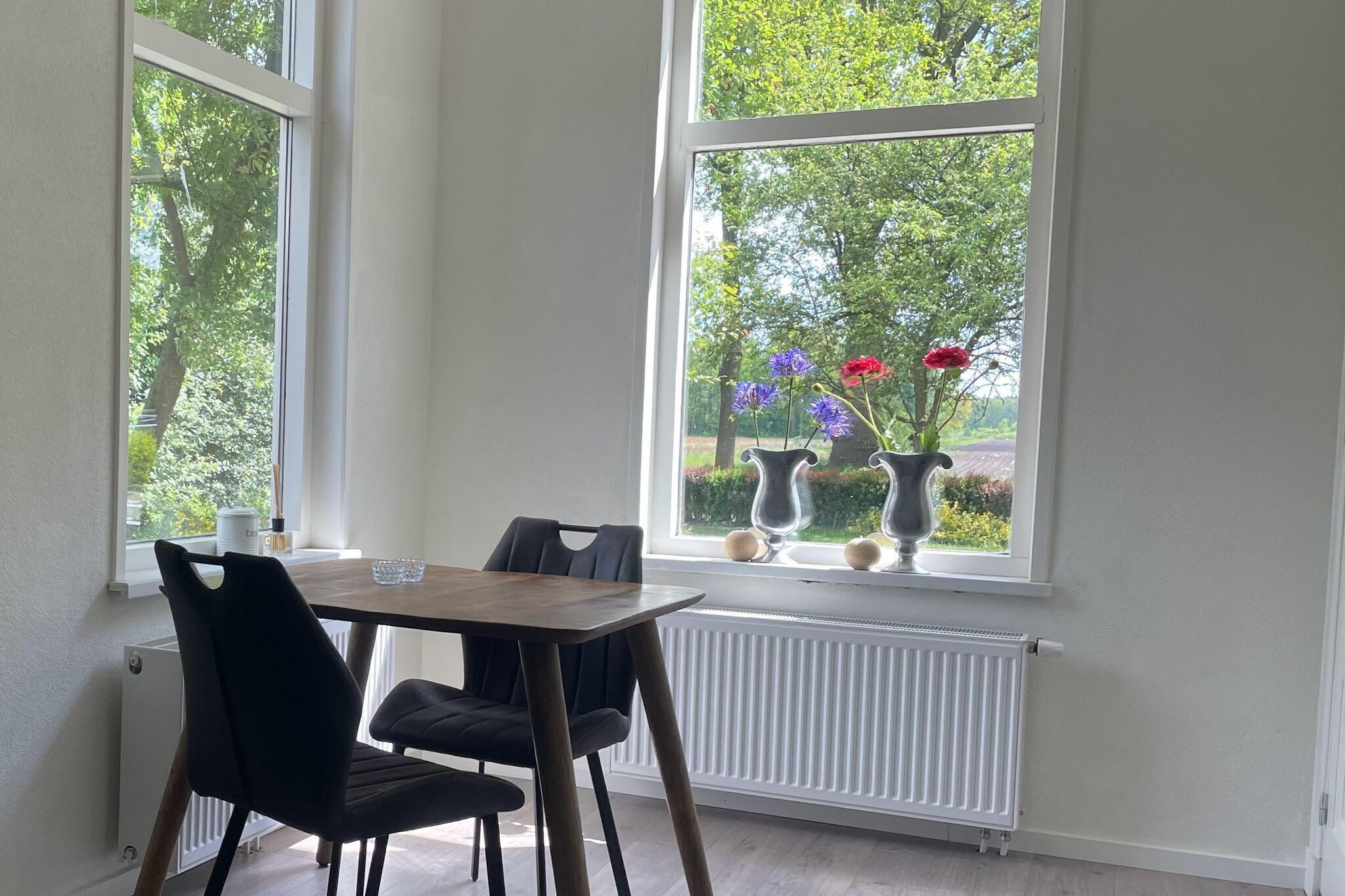 A dining area with a table and chairs, a window with a view of trees and flowers, and a radiator below the window.